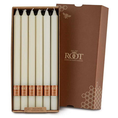 Arista Ivory Box of 12 by Root