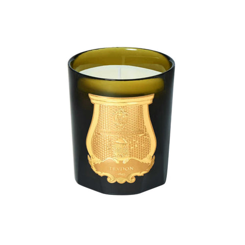 Classic Scented Candle Ernesto by Trudon