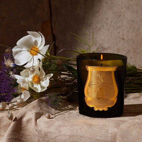 Classic Scented Candle Ernesto by Trudon