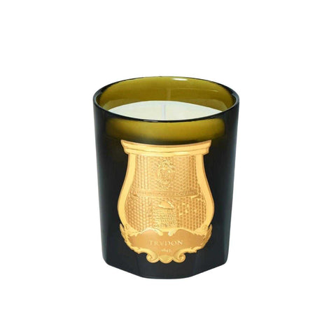 Classic Scented Candles Madeleine (Floral Leather) by Trudon