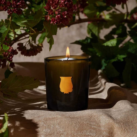 La Petite Bougie Gabriel (Gourmand Chimney Fire) by Trudon