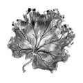 Leaf Dish Collection  by Buccellati
