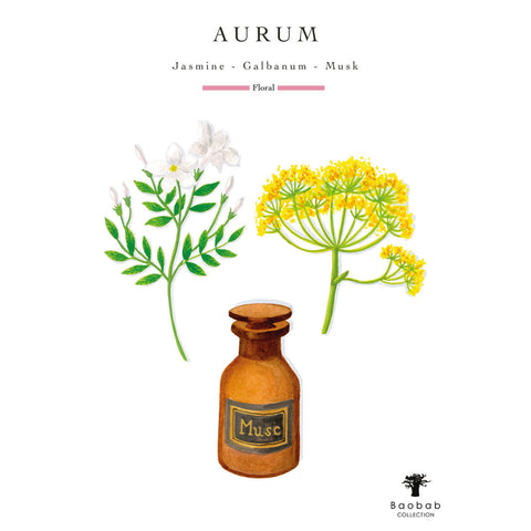 Les Exclusives Aurum Max 10 Candle by Baobab Collection