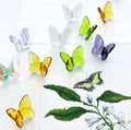 Lucky Butterfly  by Baccarat