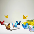 Lucky Butterfly  by Baccarat