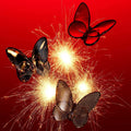 Lucky Butterfly  by Baccarat