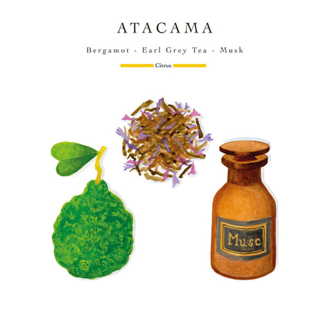 Sand Atacama Max 10 Candle by Baobab Collection