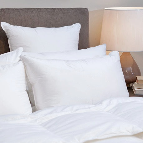 Suprelle Continental Pillow by Cuddledown