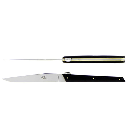 Table Knives JY'S Black Acrylic Set of 2 by Forge Laguiole