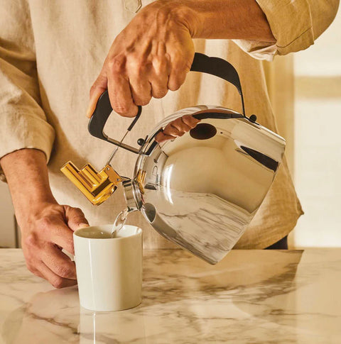 Water Kettle With Steel Bottom by Alessi