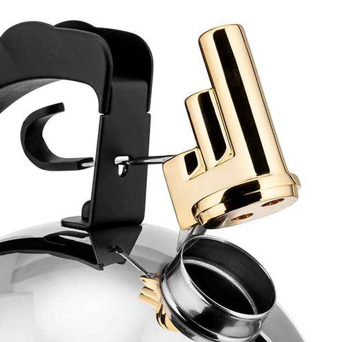 Water Kettle With Steel Bottom by Alessi